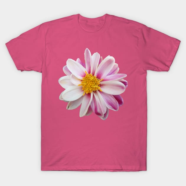 White shirt with pink flowers cheap